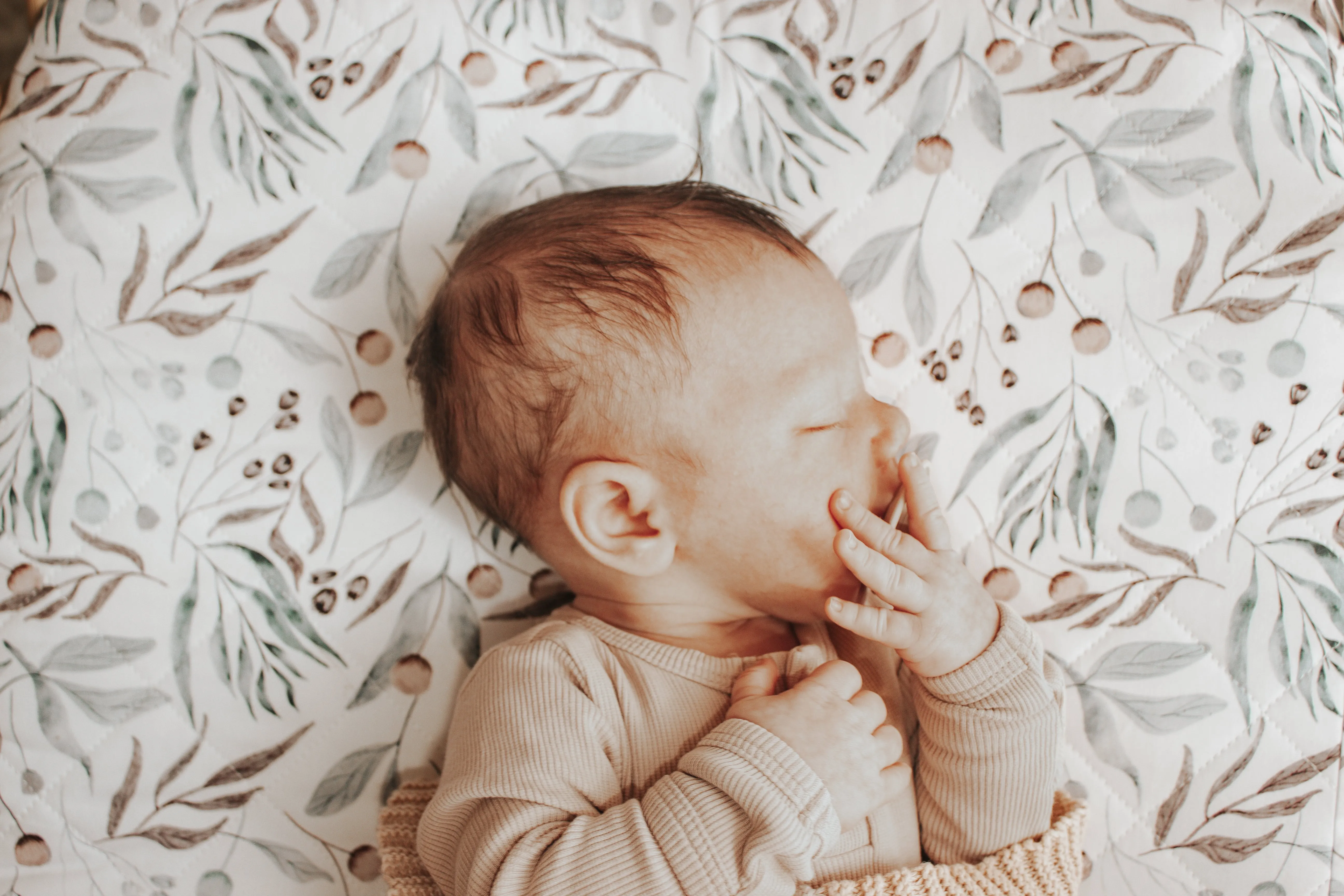 Bambella Waterproof Bassinet Sheet | Botanical