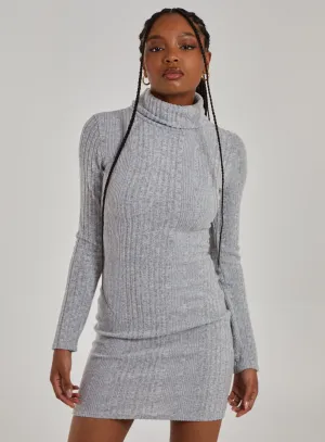 Chunky Brushed Rib Roll Neck Dress