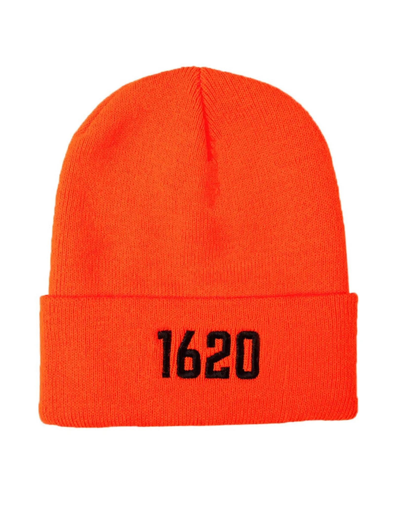 Cuffed Beanie