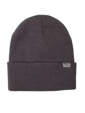 Cuffed Beanie