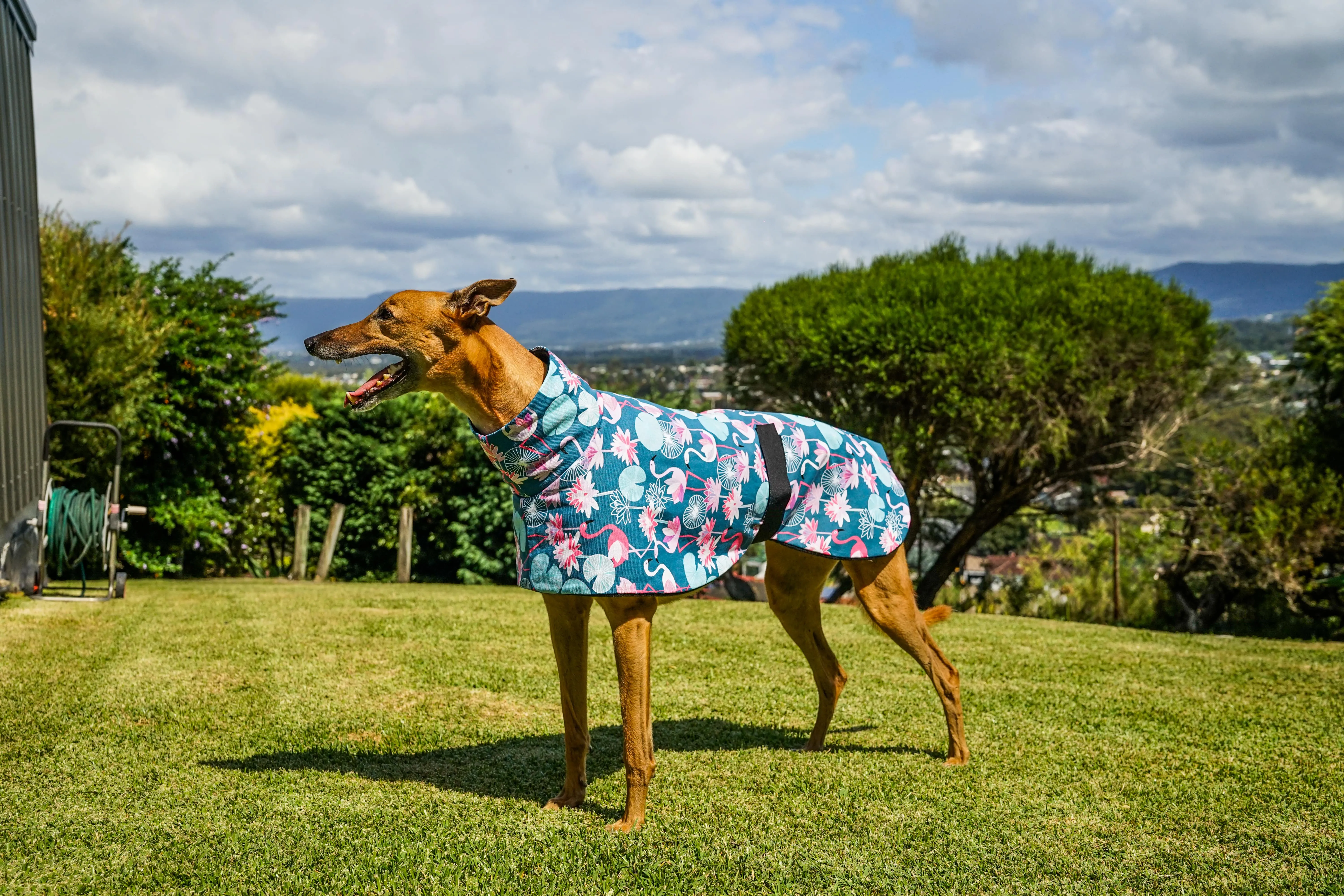 Pink flamingo cotton sports coat