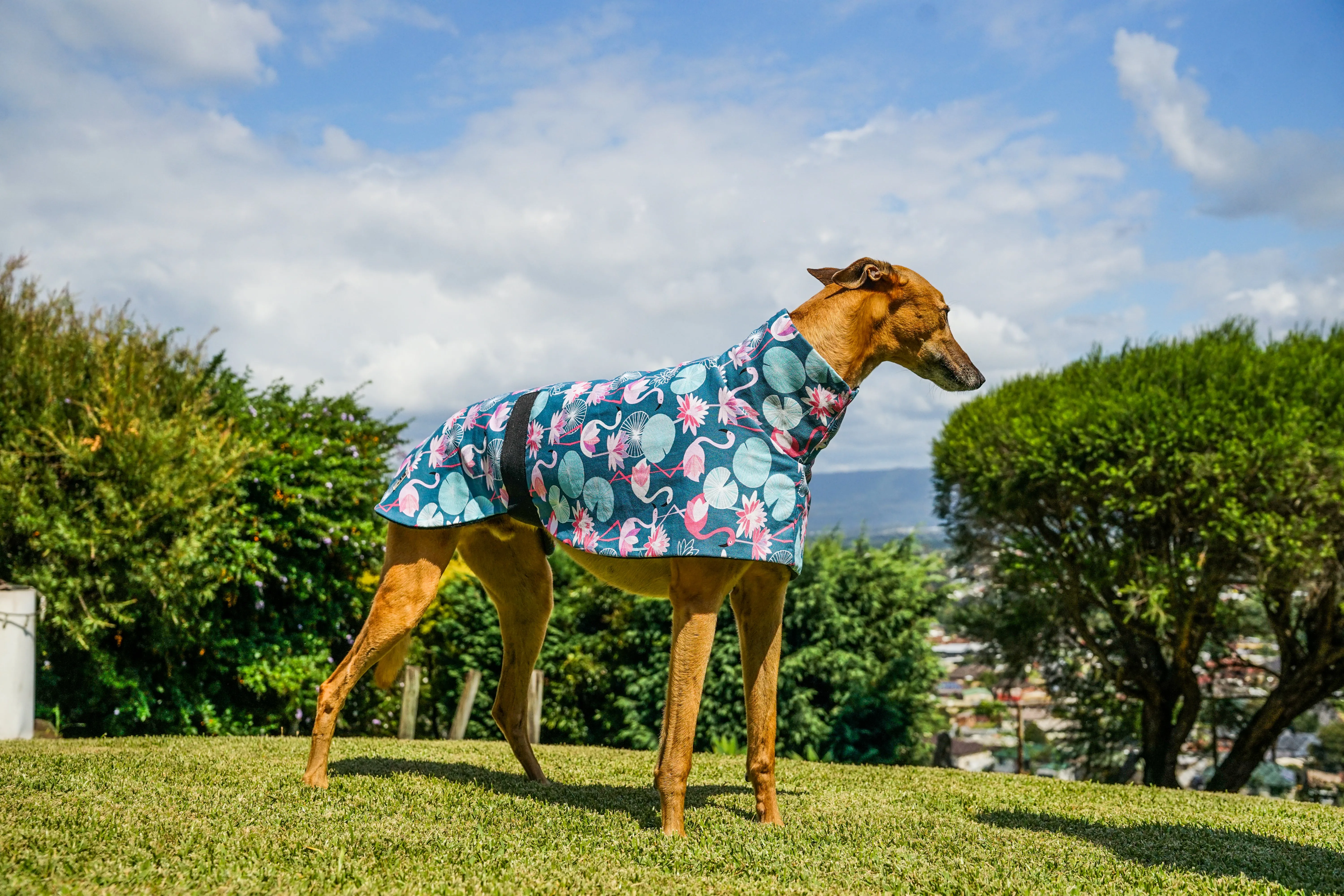 Pink flamingo cotton sports coat