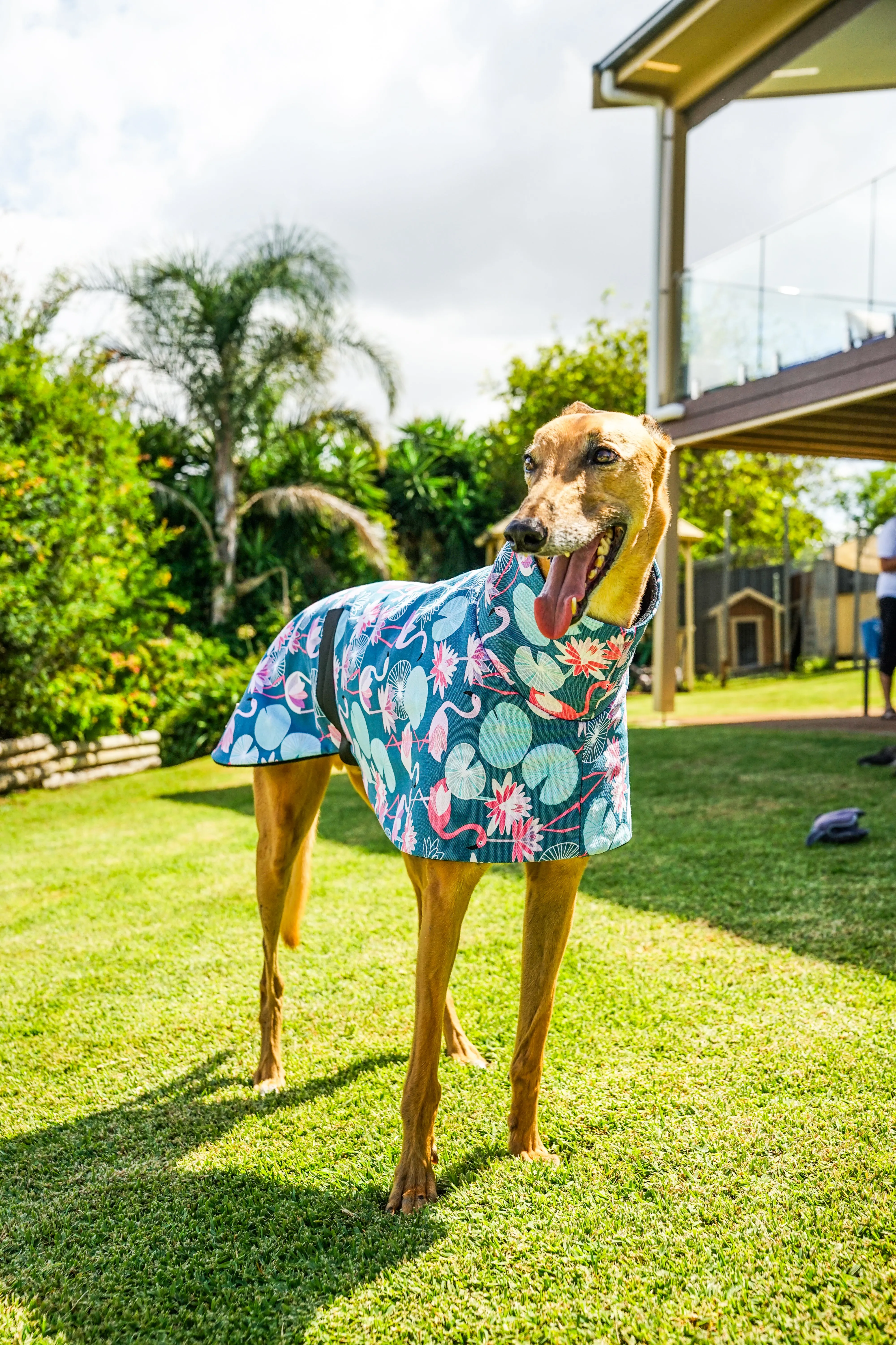 Pink flamingo cotton sports coat